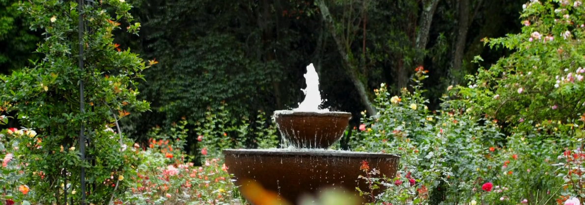 Landscaping and Gardening - Key Enviro Solutions