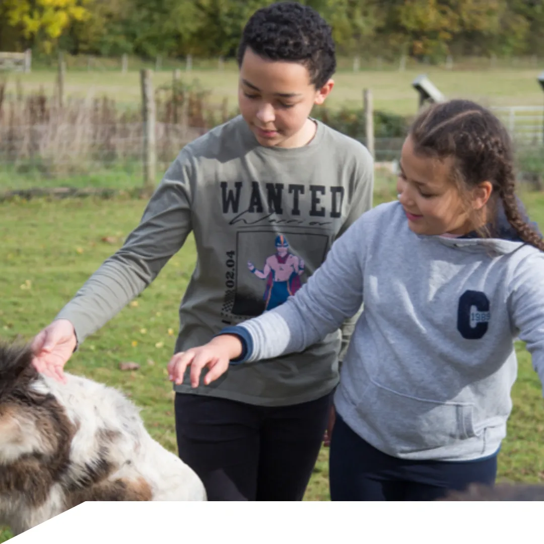 Key Enviro Solutions - Supported Charities