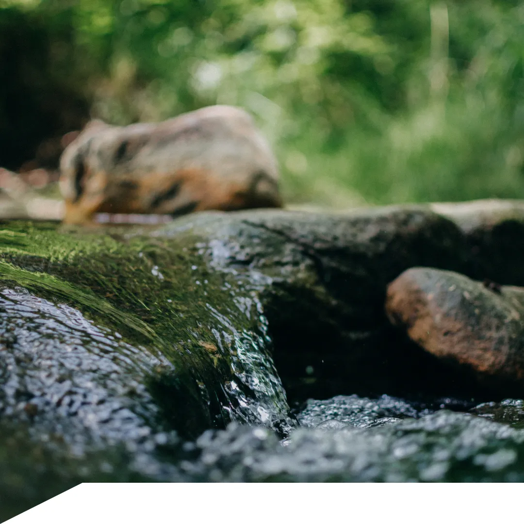 Specialist Stone Cleaning - water over rocks